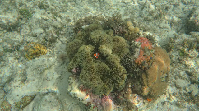 去菲律宾旅游，说说我眼中的菲律宾-14.jpg